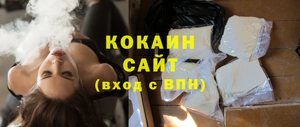 эйфоретик Гусев
