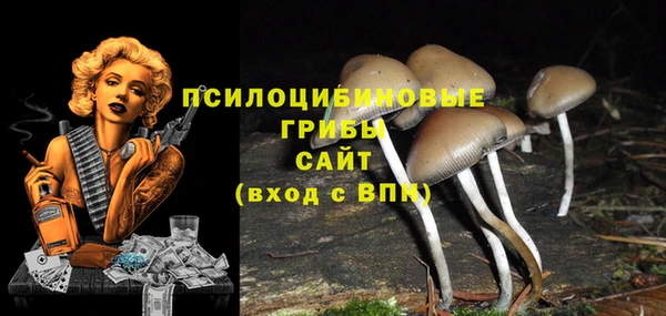 прущие крисы Шарыпово