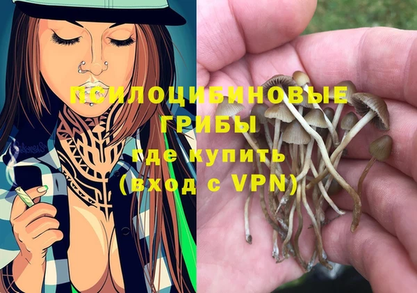 эйфоретик Гусев