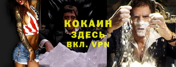 эйфоретик Гусев